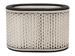 Champion Воздушный фильтр S421 TL1000S