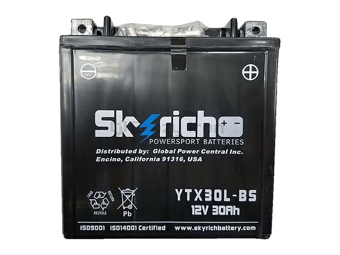 SKYRICH  Аккумулятор YTX30L-BS (YIX30L-BS)