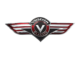 VN800 EMBLEM
