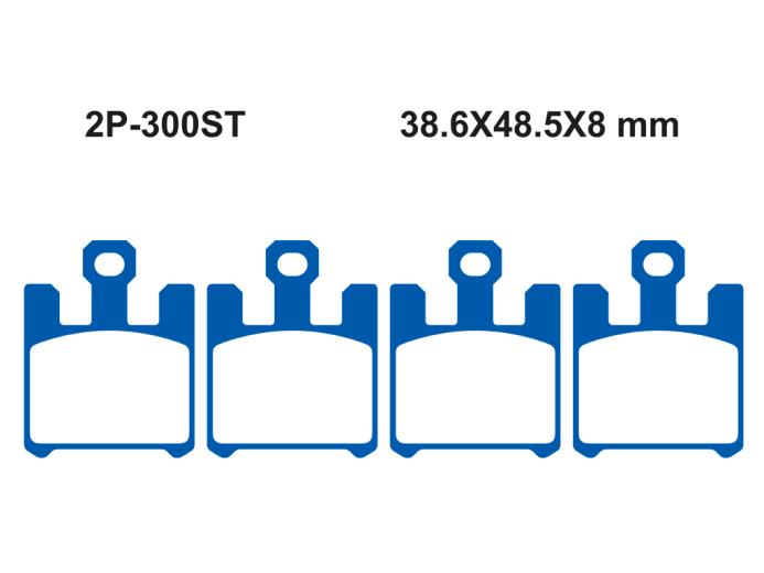 Тормозные колодки NISSIN 2P-300ST