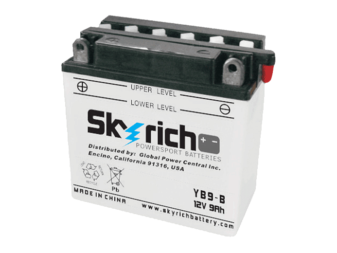 SKYRICH  Аккумулятор YB9-B