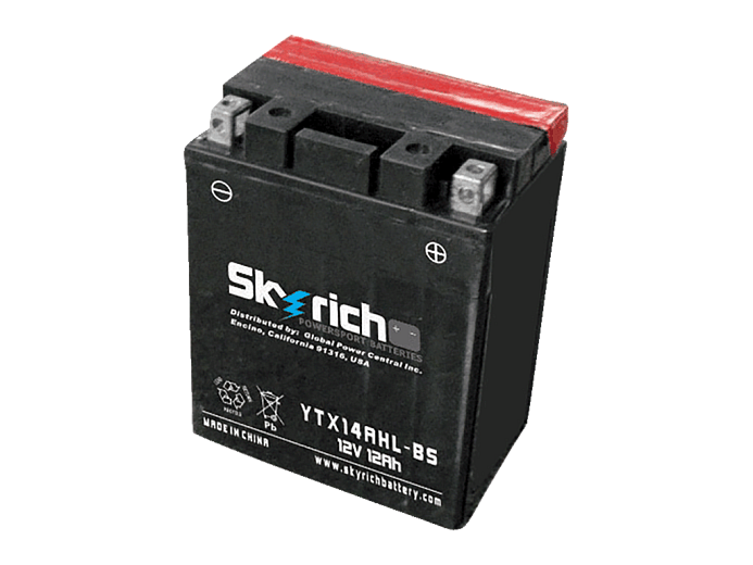 SKYRICH  Аккумулятор YTX14AHL-BS