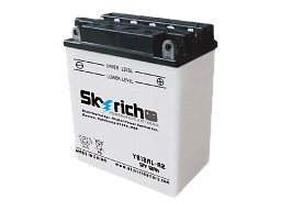 SKYRICH  Аккумулятор YB12AL-A2