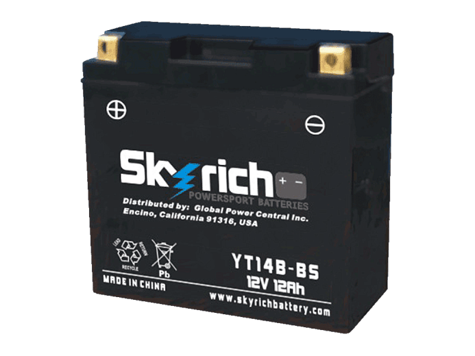 SKYRICH  Аккумулятор YT14B-BS