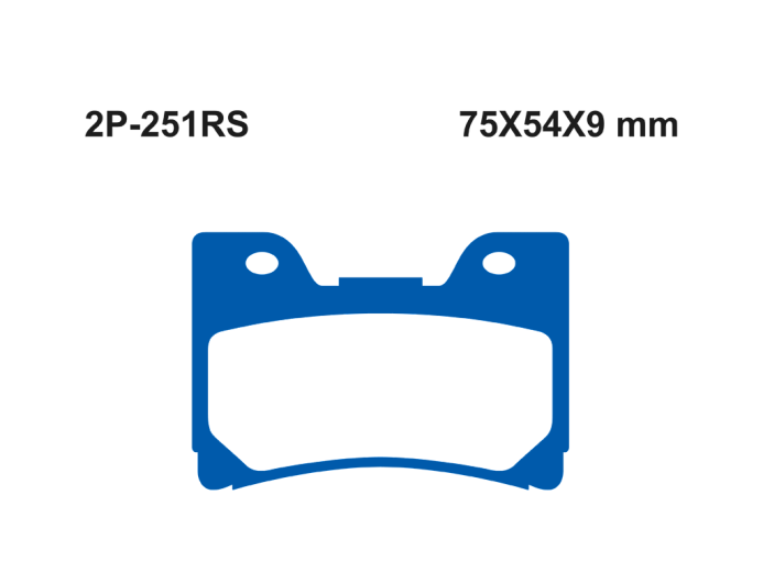Тормозные колодки NISSIN 2P-251RS