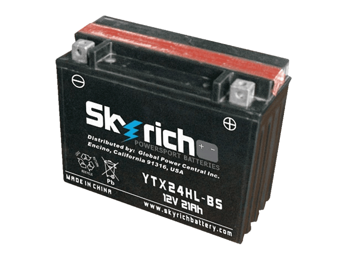 SKYRICH  Аккумулятор YTX24HL-BS