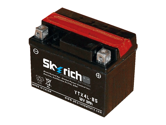 SKYRICH  Аккумулятор YTX4L-BS