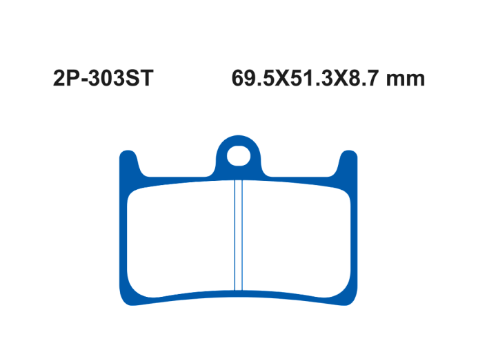 Тормозные колодки NISSIN 2P-303ST