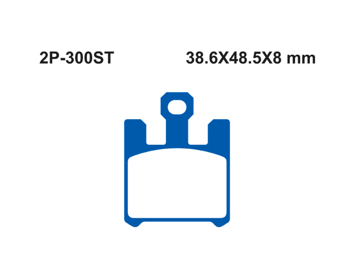 Тормозные колодки NISSIN 2P-300ST