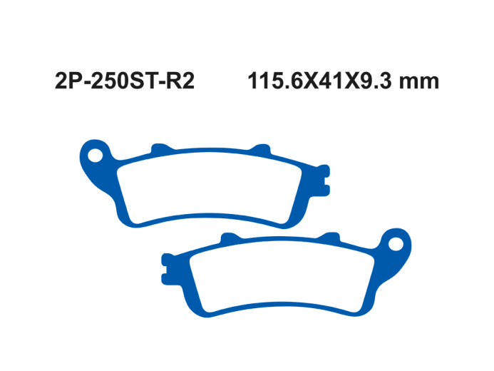 Тормозные колодки NISSIN 2P-250ST-R2