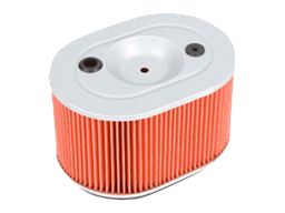 Champion Воздушный фильтр P418 GL1200 84-86