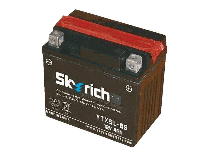 SKYRICH  Аккумулятор YTX5L-BS